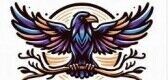 px_logo_site1733463308.jpg