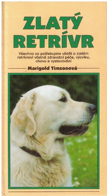 Zlatý retrívr od Marigold Timson