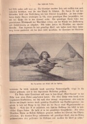 Ilustrované dějiny světa - německý jazyk.. Ilustrované dějiny světa - německý jazyk.. Vydáno 1900.
