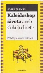 Jak předcházet trapasům od Vladimír Indra