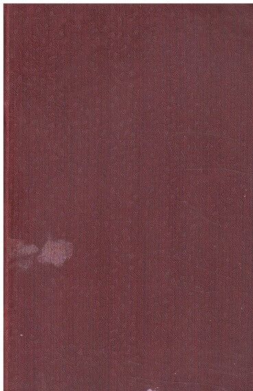 Tři mušketýři II. Alexandre Dumas, st.