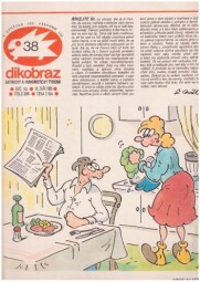DIKOBRAZ 38, 18. září 1985