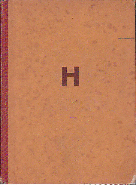 Dřevařský král : (lidé z Kleivu) / Karl Holter