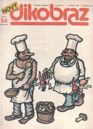 DIKOBRAZ 34,  21. SRPNA 1991