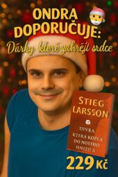 Dívka, která kopla do vosího hnízda od Stieg Larsson